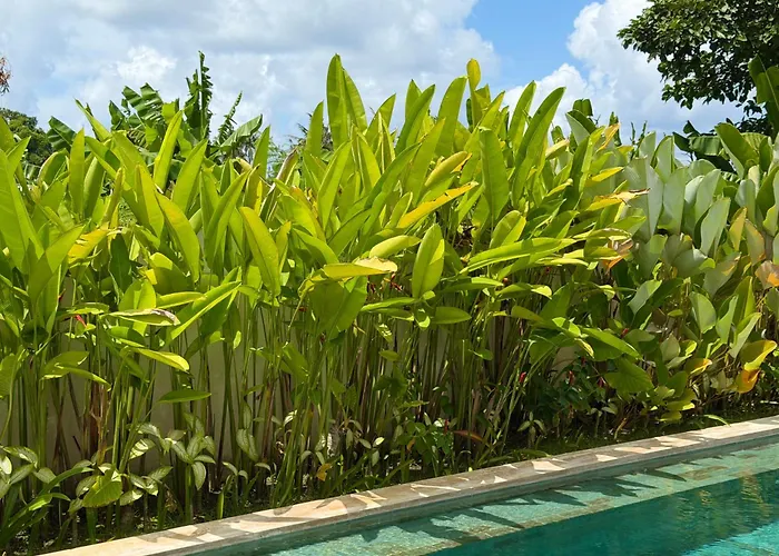 Yaouh à Pererenan Villa